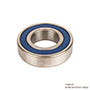 timken-deep-groove-ball-bearing-blue-FDA-approved-seal-angle