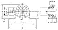 Mounted Bearings Pillow Block Eccentric Locking Colar RPB Dimensions