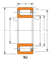 Cylindrical Roller Radial Bearings - NJ (Two Ribs on Outer Ring, One Rib on Inner Ring)