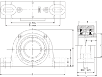 Tapered Adapter Two-Bolt Pillow Block - Dimensional Drawing