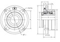 Flange-Piloted-Bearing-2a. boltjpg