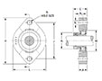 Mounted Bearings 2-bolt flanged eccentric FLCT