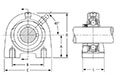 Mounted Bearings Tapped Setscrew Dimensions