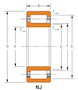 Cylindrical Roller Radial Bearings - NJ (Two Ribs on Outer Ring, One Rib on Inner Ring)