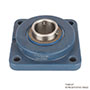 timken-flange-mounted-ball-bearing-unit-blue-poly-4-bolt-BF206-NLH-SUC206-insert-IP69K-F-seal-angle