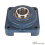timken-flange-mounted-ball-bearing-unit-blue-poly-quiklean-4-bolt-BFQK206-NLH-SUC206-insert-IP69K-F-seal-angle