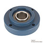 timken-round-piloted-flange-mounted-ball-bearing-unit-blue-poly-4-bolt-BFC206-NLH-SUC206-insert-IP69K-F-seal-angle